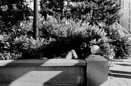 Resting Place by Allen D. Crooks