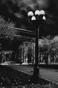 Daybreak at Civic Center Park by Carolyn S. Cogan