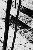 Winter Urban Landscape 1 by Larry Hurlbut