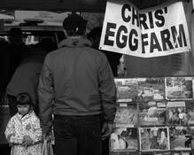 Egg Shopper by Leslie A. Wilkinson