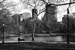 A Peaceful Moment in the Commons by Michael DeAngelis