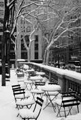 Fifth Avenue Snow by Pat Patterson Hauck