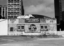 Root Beer by Rik Palm