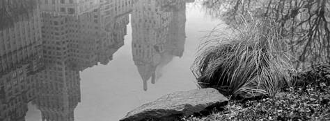 Reflection by Yuriy Krupa
