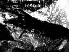 Untitled 1 by Janet Weaver