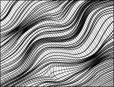 Distortion by Barbara Bender