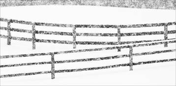 Snowstorm by Barbara Bender