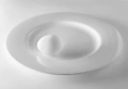 White on White by Barbara Bender