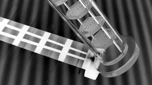 Photocatalysis by Dennis Michael