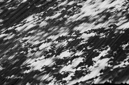 Standing Seam Shadows 1 by Jane A. Spencer