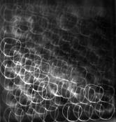 Spectacular by Jim & Anne Mitchell