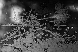 Window Treatment 29 by JW Johnston