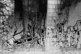 World View 2 by JW Johnston