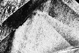 Pegasus 2 by Larry Hurlbut