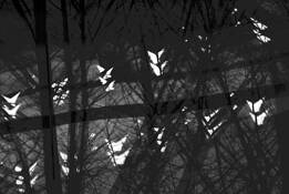 Shadowland by Larry Hurlbut