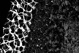 Untitled 1 by Larry Hurlbut
