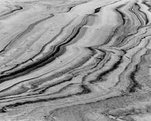 Pea Island 1 by Michael A. McCullough