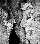 Cracked Paint 2 by Mirko Vincic