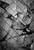 Broken by Sara Mortimer