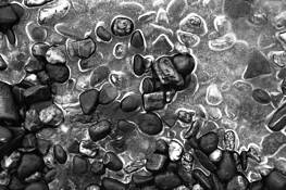 Shingle 2 by Sophia Koopman