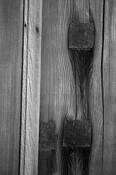 Nailed by Terry Farrugia