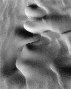 Foot Print in Sand by Tom Kirkendall