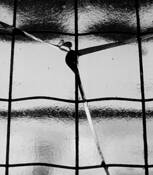 Breaking Out by Zsuzsanna Sterl Hernandez