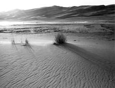 Tranquility by Allan McConnell