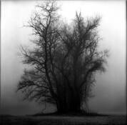 A North American Haunting by Ann Magdalene