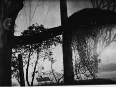 Melatonin by Ashley Innis