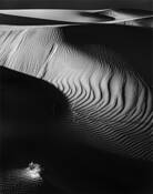 Shadows in the Sand by Lane Wilson