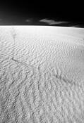 White Sands Study by Laura Rossi