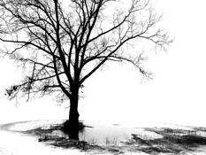 The Beginning of the End by Len Sciacchitano