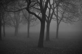 Untitled #2 by Lu Zhang