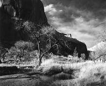 Robbers Roost Tree by Chris Freeland