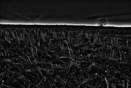 Christmas Eve #1 by Darryl Dalton