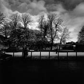 A Winter Day by Shinya Ichikawa