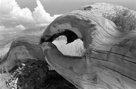 Untitled 3 by Stephen Sallows