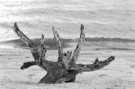 Untitled 7 by Stephen Sallows