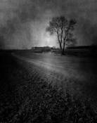 And All the Roads We Have to Walk Are Winding by Teresa Baber