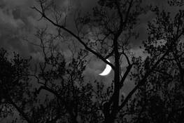 Crescent Moon by Thomas Weems