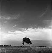 Mariabe by Vladimir Rios