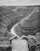 The Goosenecks by William Lemke