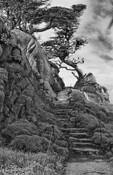 Point Lobos Steps by William Obernesser