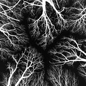 Untitled 10 by Zachary Spira-Bauer