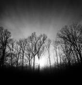 Untitled 17 by Zachary Spira-Bauer