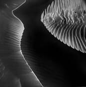 Woman in the Dunes by Diane Kaye