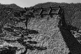 Tree Thatched Roof and Mountains by Don Russell
