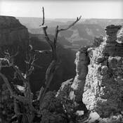 Untitled 1 by Douglas H. Willim