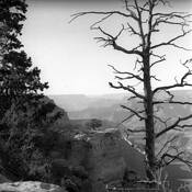 Untitled 2 by Douglas H. Willim